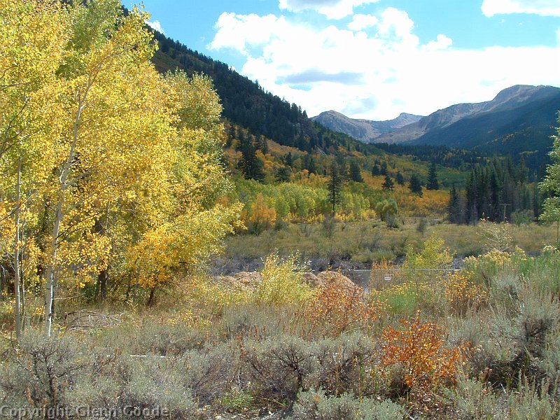 aspen trip 2008 030